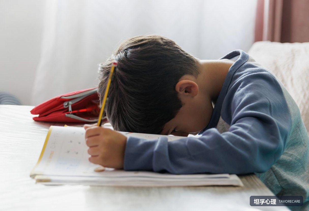 先掉下来的常常不是眼泪：记性、注意力和成绩，为什么比情绪更早说话